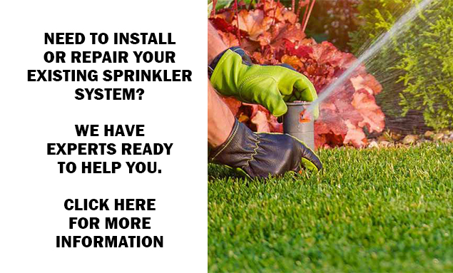 Oak Branches Tree Service Specials